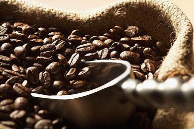 玩家吐槽《霍格沃茨之遗》更新：让游戏变得更糟糕了