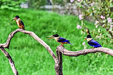 《明日方舟终末地》公布概念CG和实机演示 可预约PC和移动平台