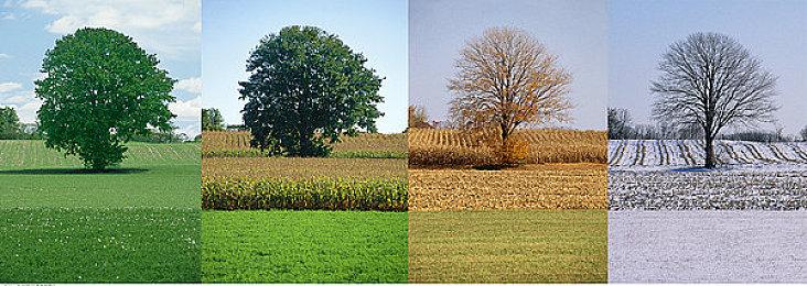 消息称PSVR 2将向下兼容初代PSVR所有游戏作品